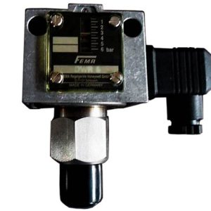 DCM10-513 | FEMA | Pressure Switch